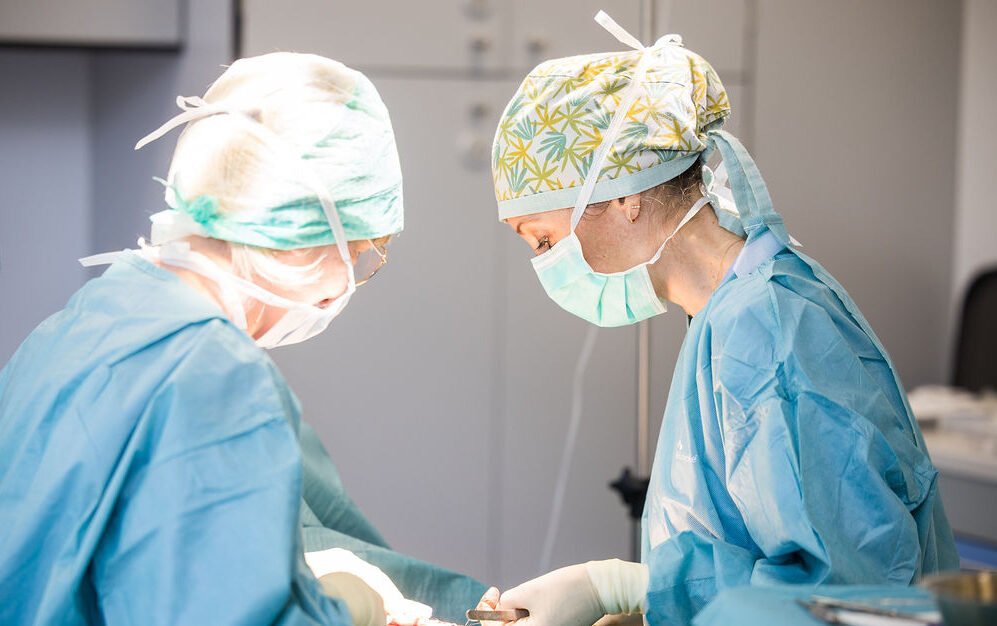 approche du Dr Aurore Lafosse 